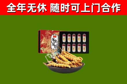 樟树回收冬虫夏草价格